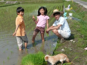 昨年５月家族で田植えを体験、千葉県館山市にて-2